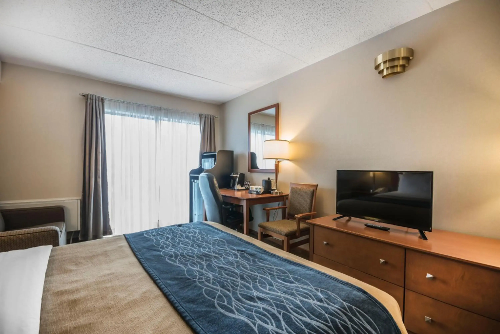 Comfort Inn - фото 3