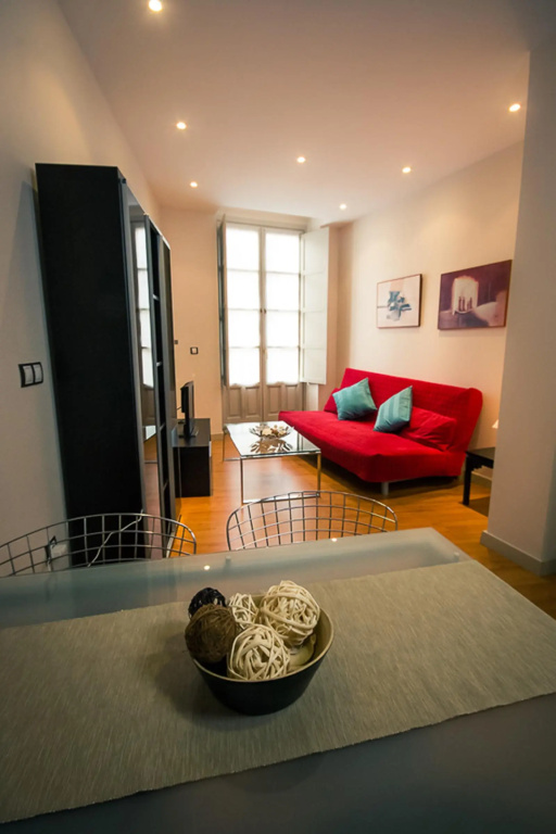 Apartment in Malaga 102294