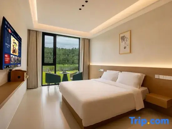 Comfort Double room (full double bed)