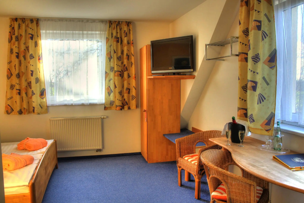 Standard Double room (full double bed)