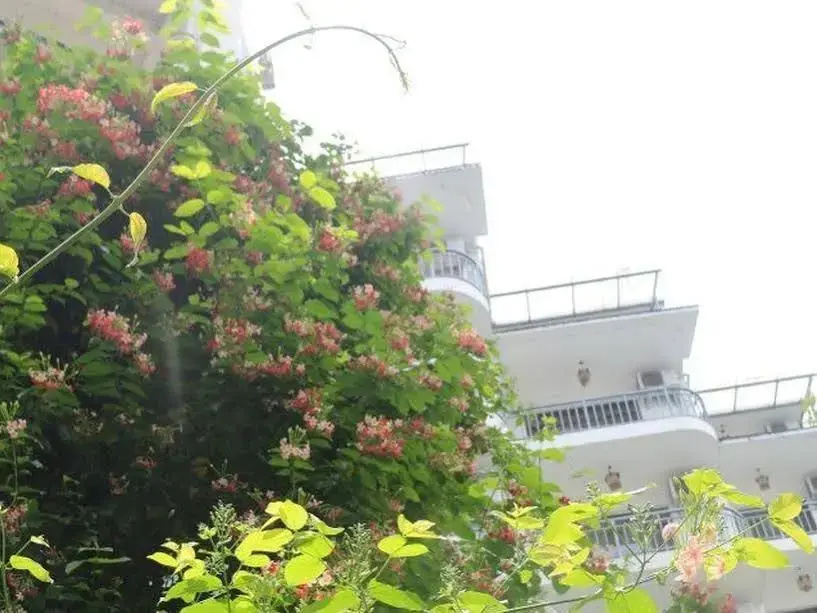 Yangshuo Tangrenjie Hotel