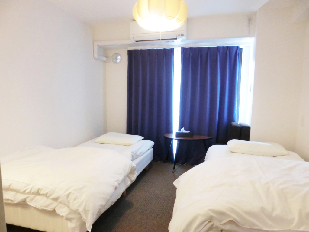 Standard Double room with city view (twin beds)