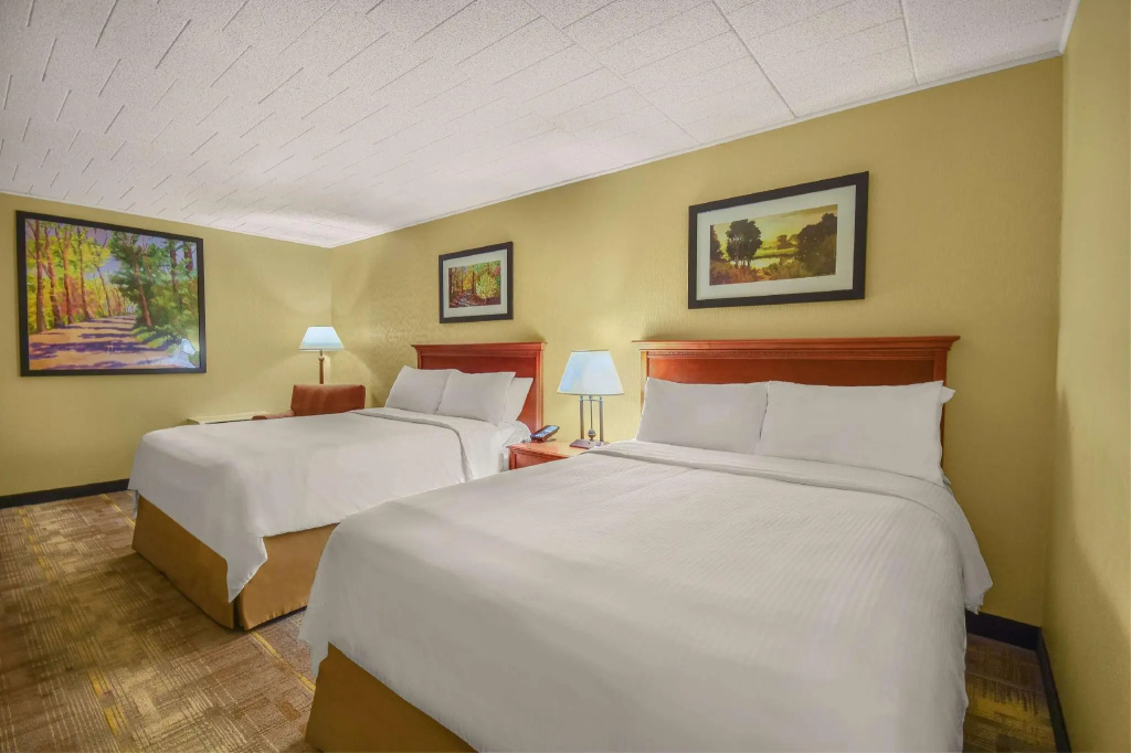 Wyndham Garden York - Chambres