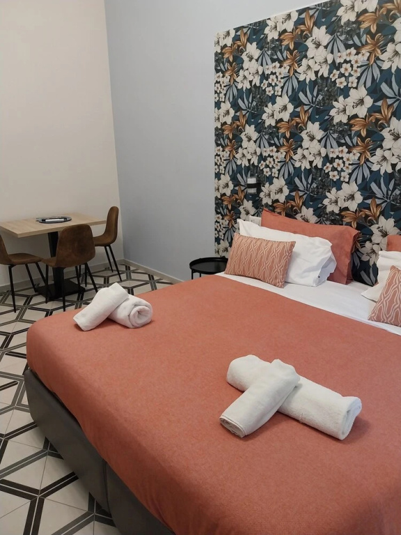 Standard Double room (full double bed)