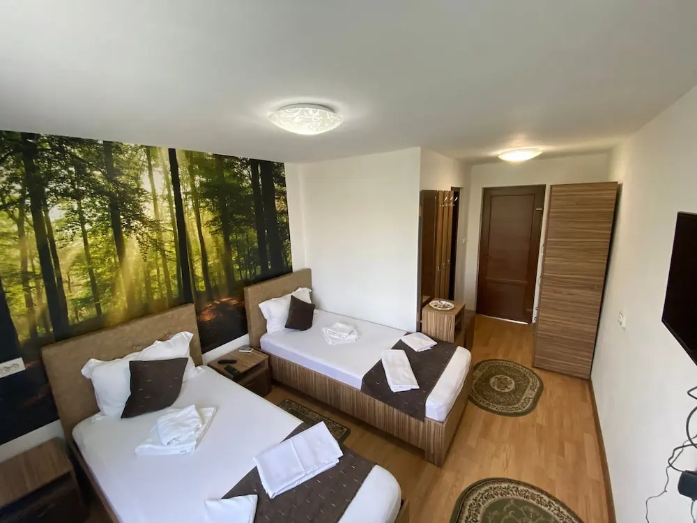 Standard Double room with courtyard view (twin beds)
