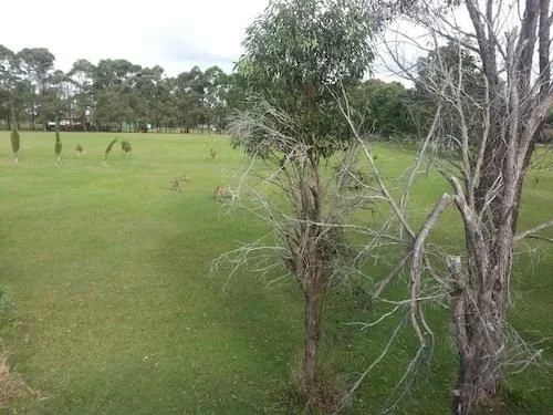Albert River Bed and Breakfast