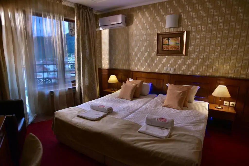 Standard Double room with mountain view (full double bed)