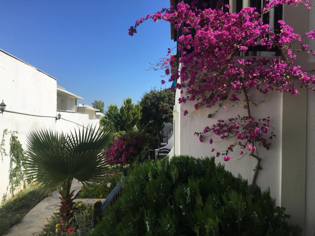 Hotel photo 44