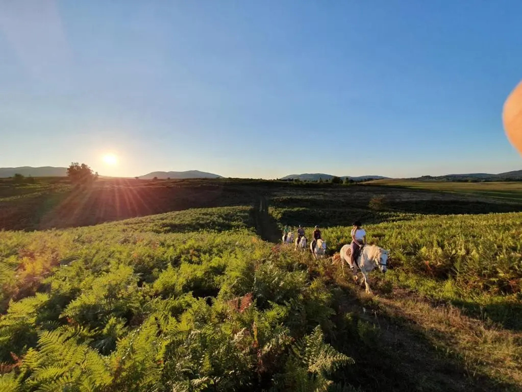 Ranch Terra