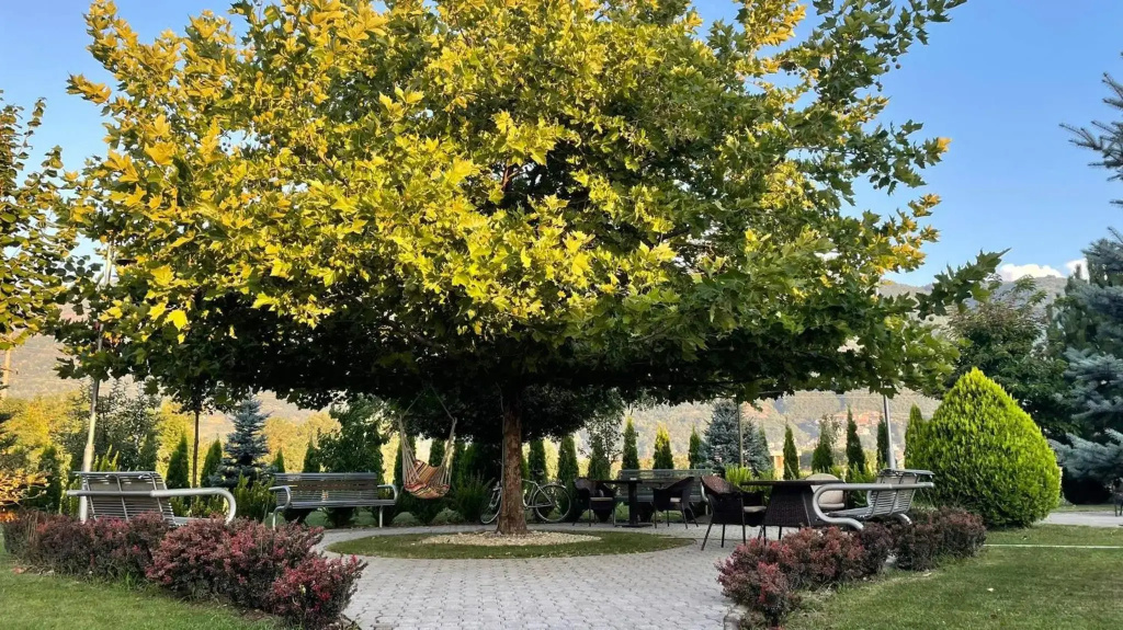 Emka Hotel Tetovo - Général