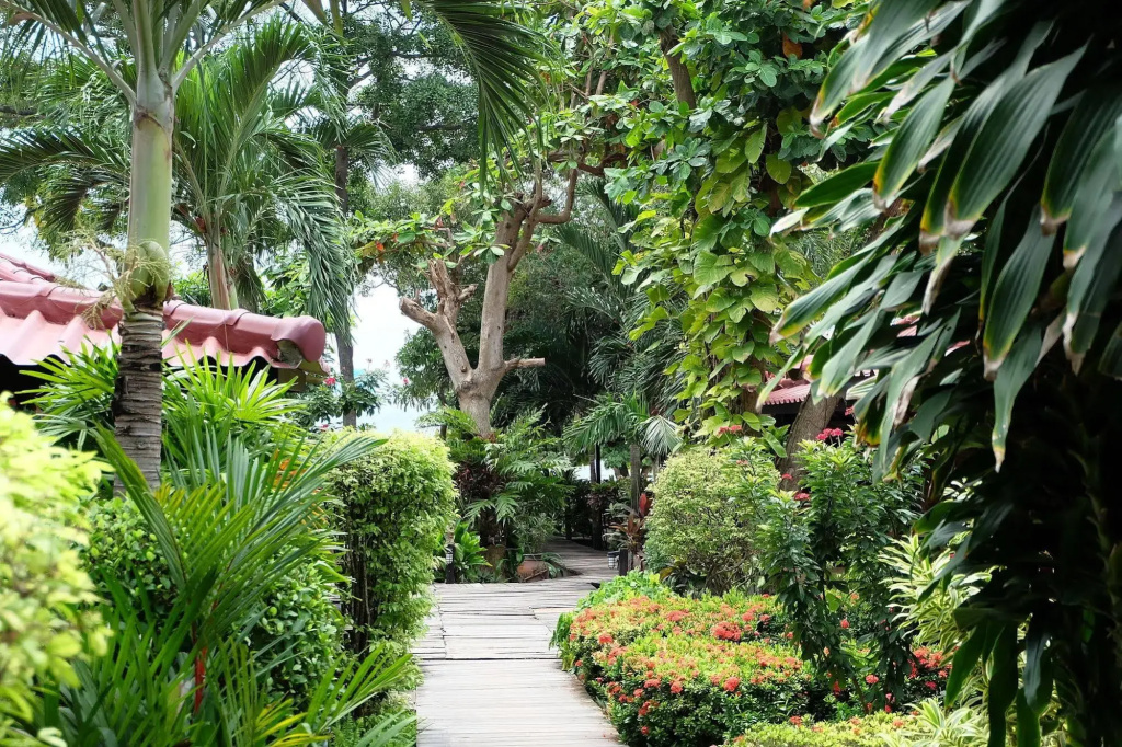 Hotel photo 27
