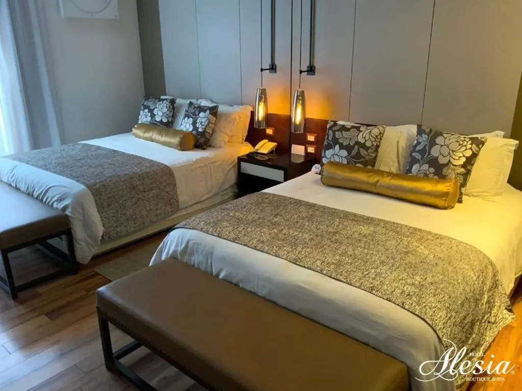 Deluxe Double room (full double bed)