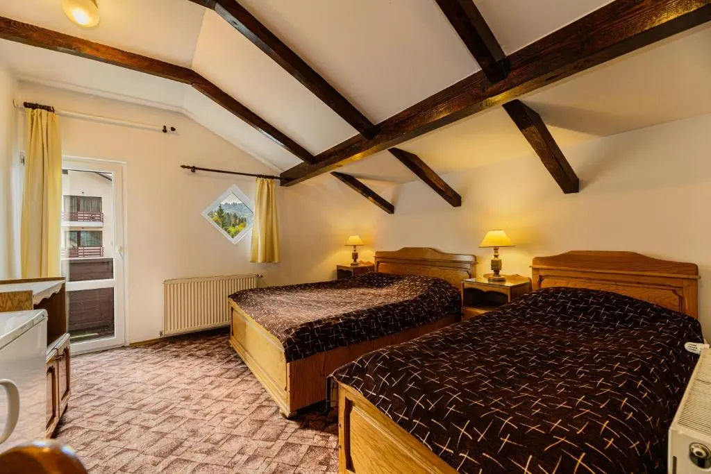 Pension Casa Bradul - Chambres