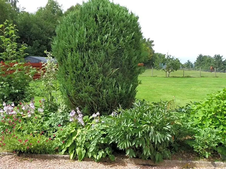 Ordieview Bed And Breakfast