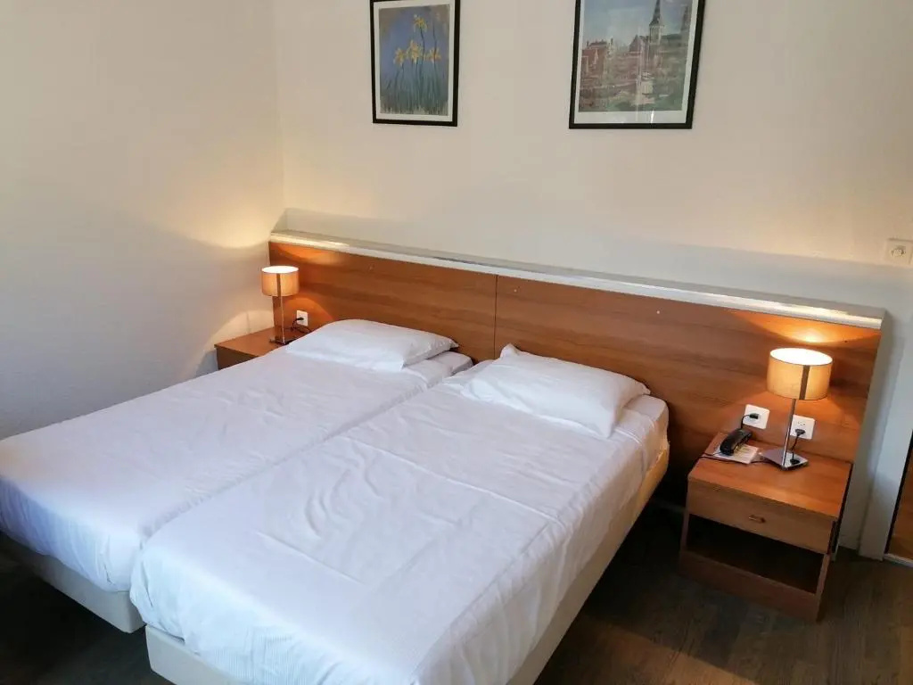 Standard Double room (twin beds)