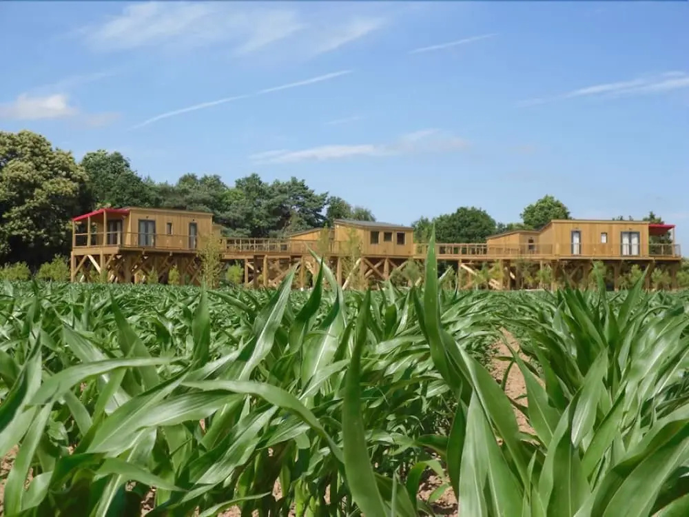 Le Domaine de Kervallon - Général