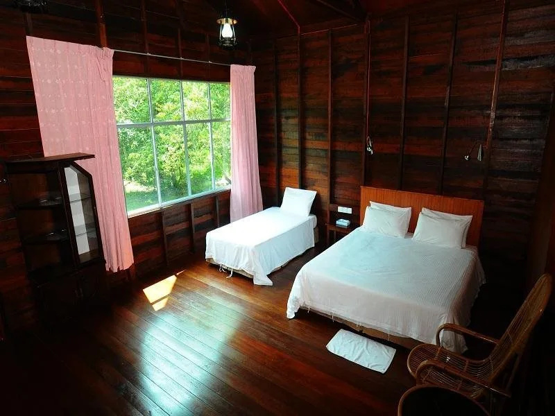 Sukau Rainforest Lodge - фото 2