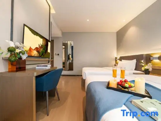 Standard Double room with city view (twin beds)