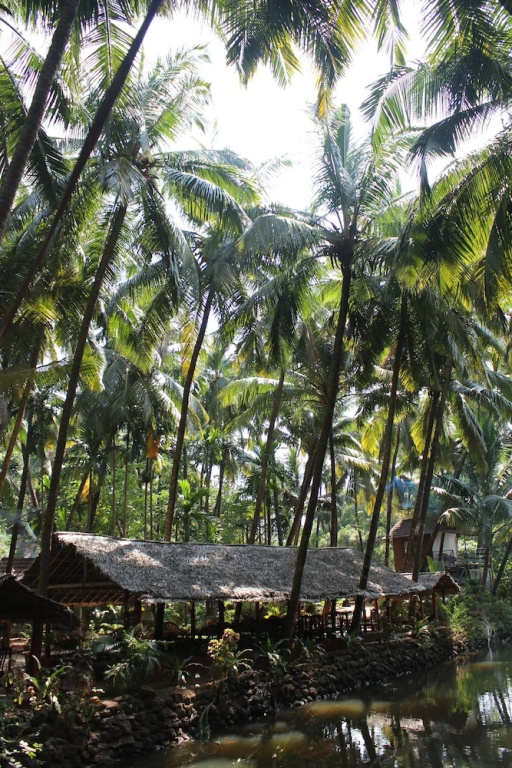 Palm Trees Ayurvedic Heritage - Chambres