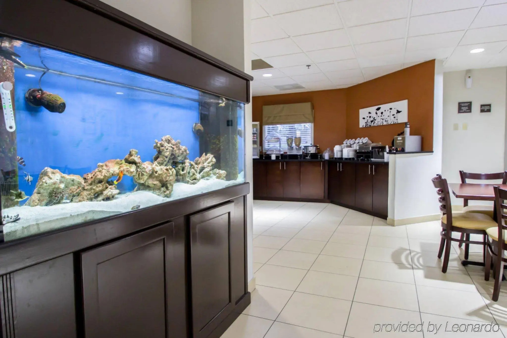 Hotel photo 43