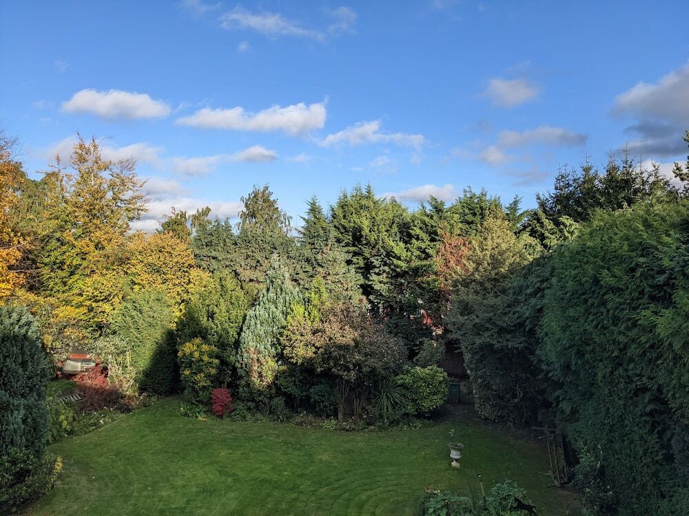 Image 28