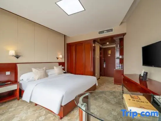Standard Double room with city view (full double bed)