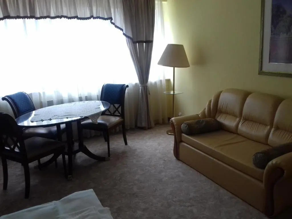 Hotel Wilga by Katowice Airport - Général