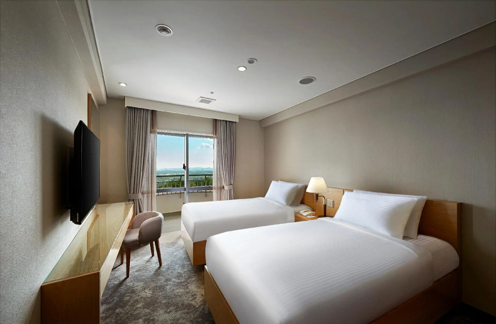 Deluxe Double room (twin beds)