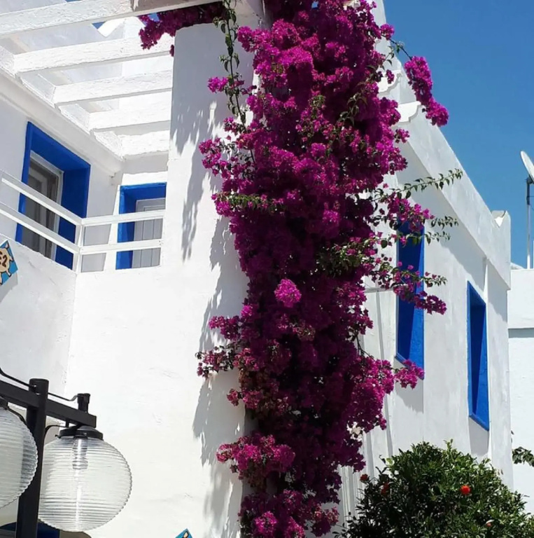 Hotel photo 41