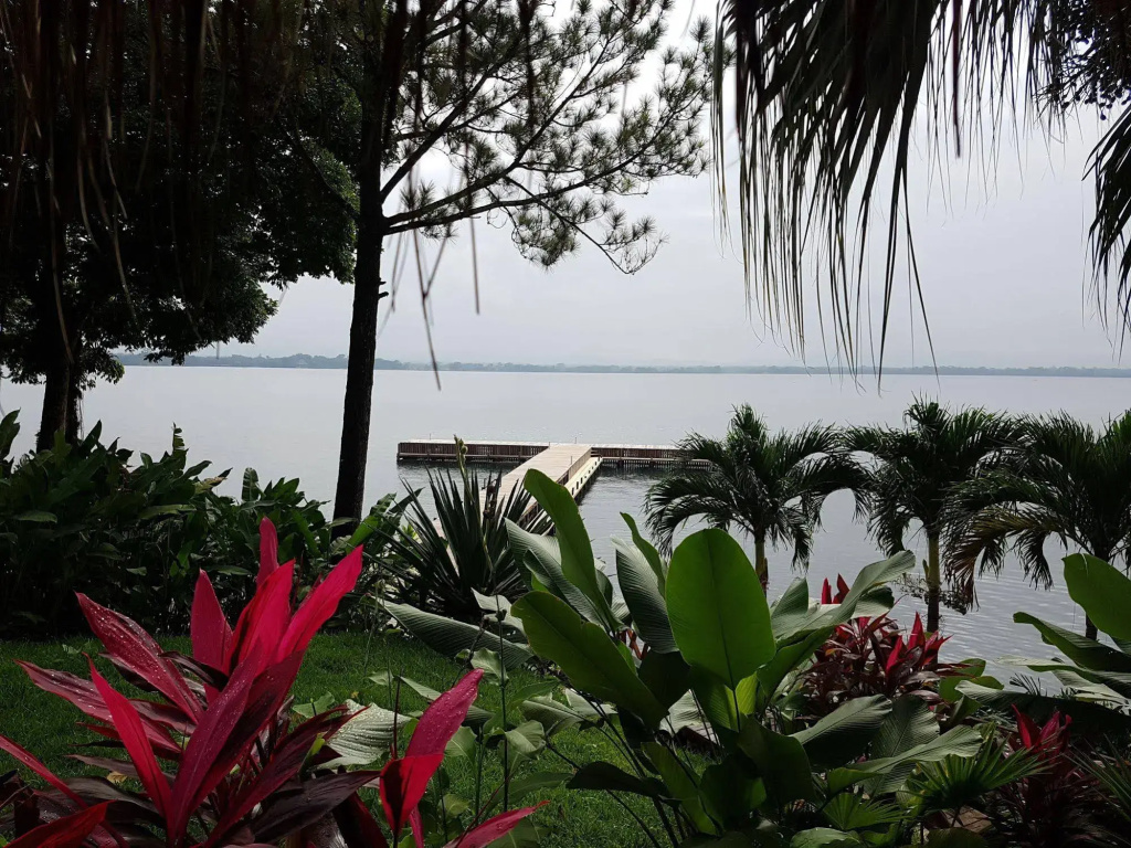 Banana Palms Hotel - Général