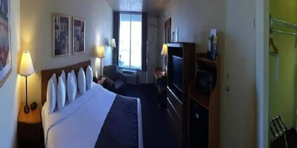 Whitten Inn University - Général
