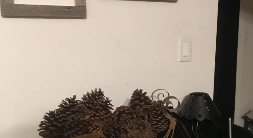 The Purple Frog Bed And Breakfast