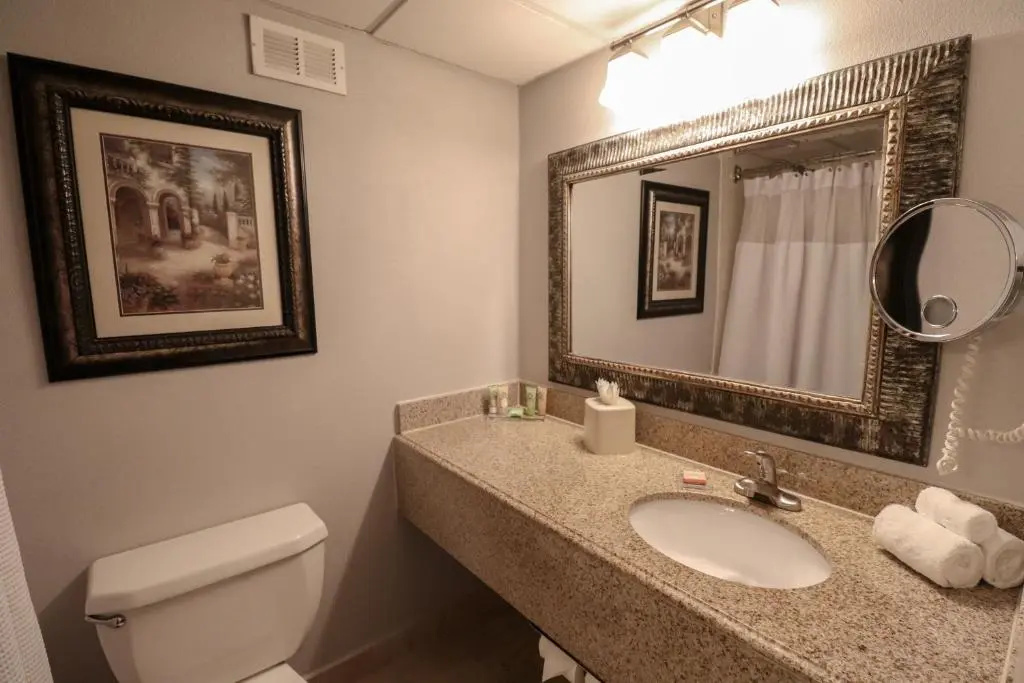 Wyndham Houston near NRG Park/Medical Center - Chambres