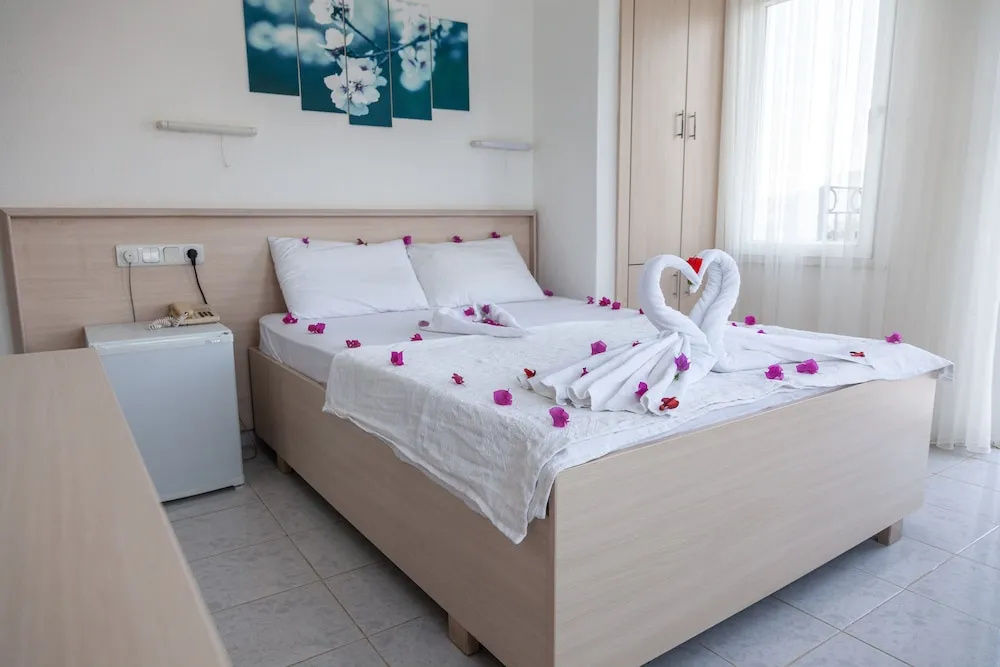 Standard Double room with balcony and with mountain view (full double bed)