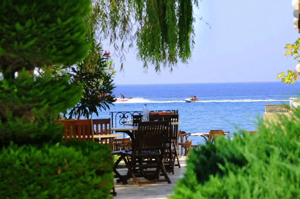 Beach & Waterfront