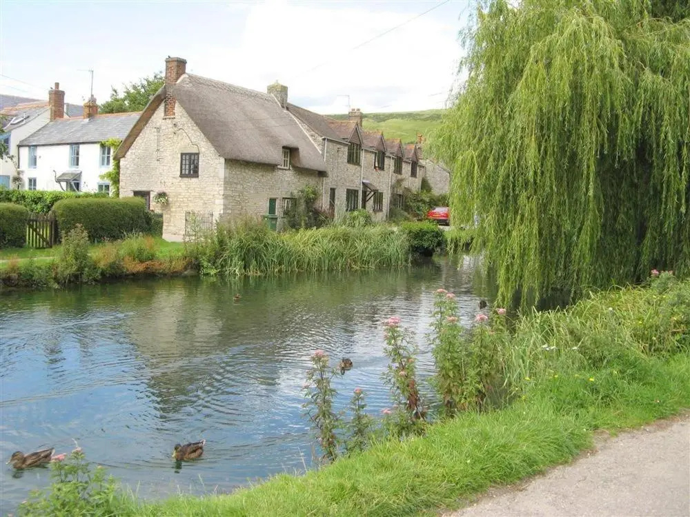 Cottage