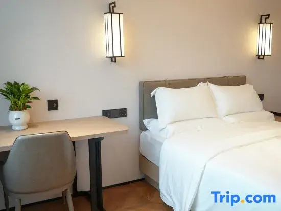 Comfort Suite