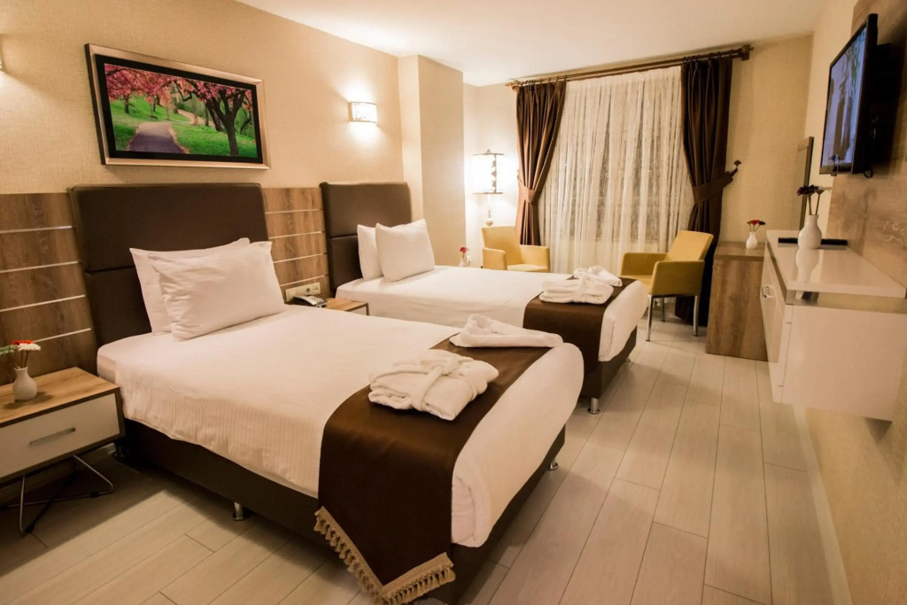 Hotel Business Han - фото 6