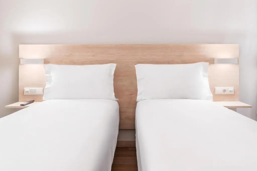Standard Double room (twin beds)