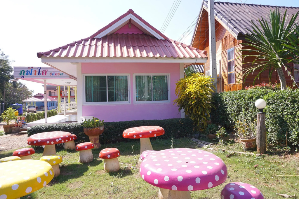 Hotel photo 14