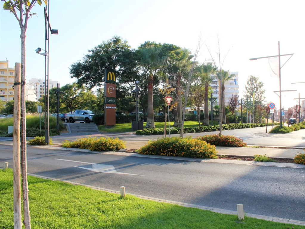 Vilamoura Dolphin Studio