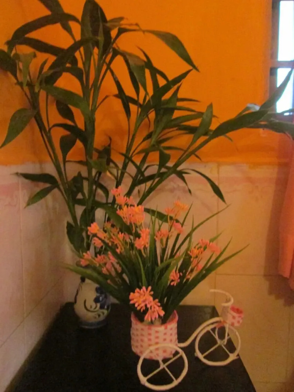 Eco-Home - Chambres
