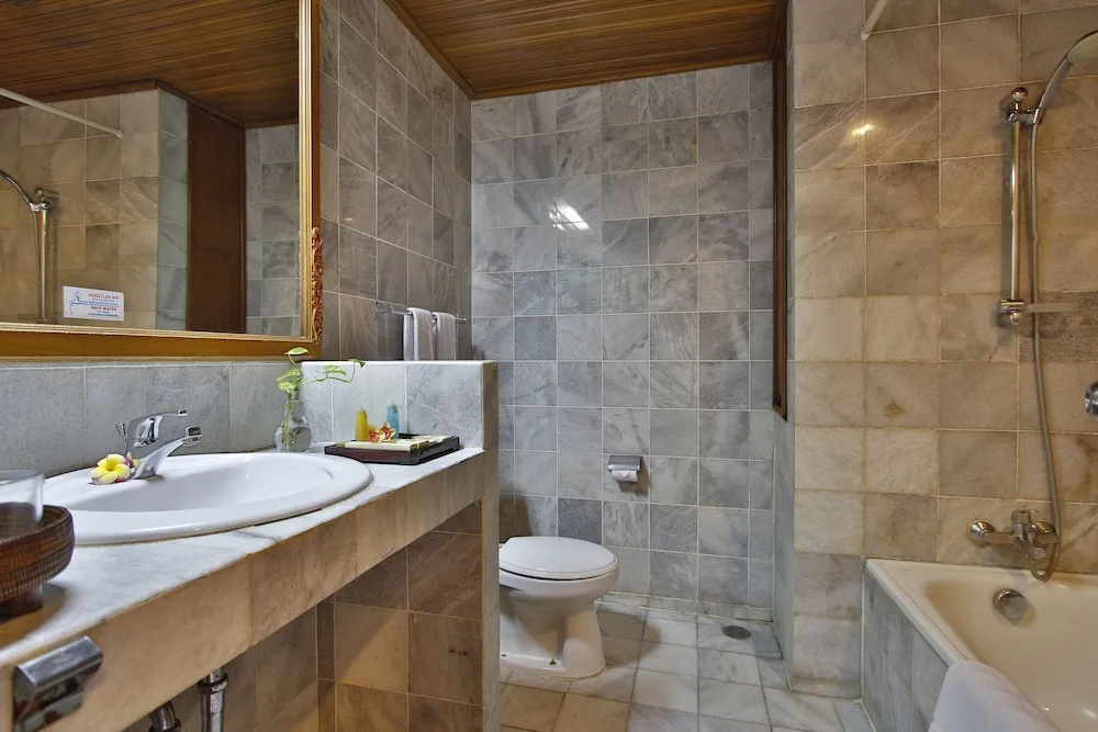 Superior Double room with garden view (twin beds)