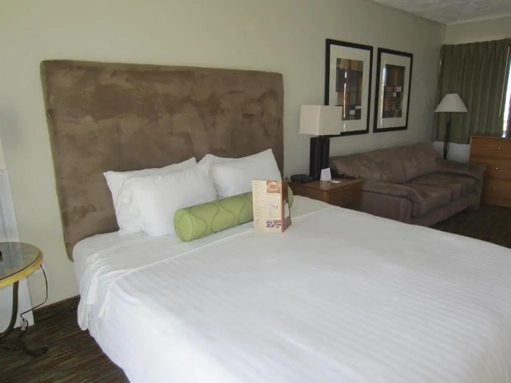 Surfer Beach Hotel - Chambres
