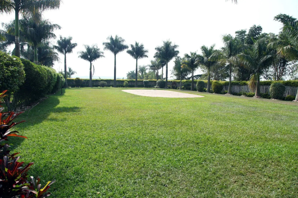 Airport View Hotel - Général