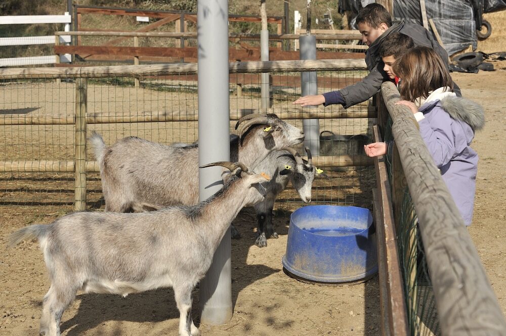 Cerdanya EcoResort & SPA picture