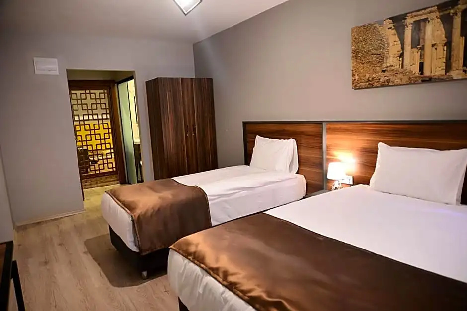 Standard Double room (twin beds)