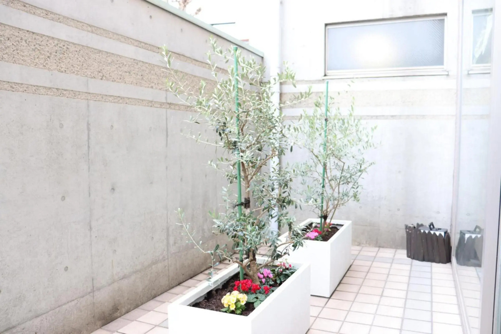Imabari Urban Hotel - Général