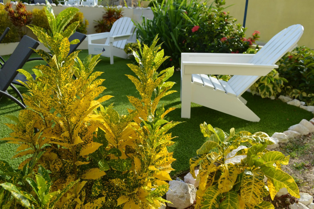 Adonai Hotel Boutique - Général