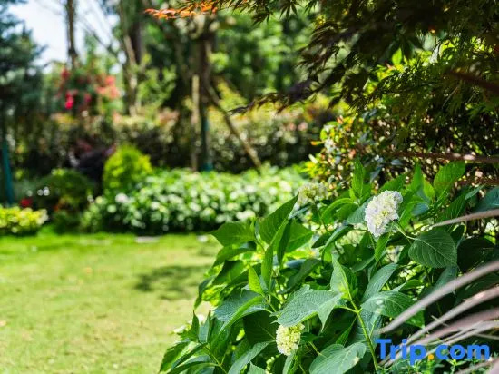 Guiyin Qingcheng Villa · Valley Garden Private Hot Spring Detached Villa